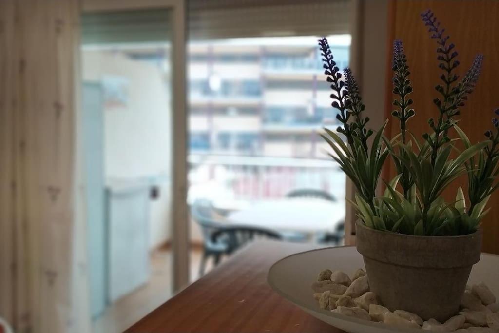 Acogedor Apartamento En La Playa De Canet 卡耐特蒂贝兰格 外观 照片